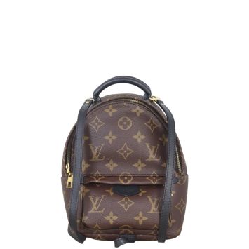 Louis Vuitton Palm Springs Mini Backpack Monogram