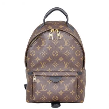 Louis Vuitton Palm Springs Backpack PM Monogram Front