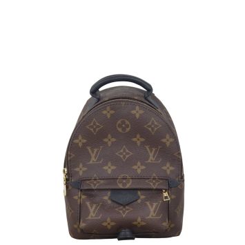 Louis Vuitton Palm Springs Mini Backpack Monogram