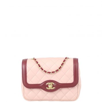 Chanel Two-Tone Mini Day Flap Bag Front