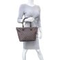 Louis Vuitton Saleya PM Damier Ebene Mannequin

