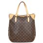 Louis Vuitton Odeon GM Monogram Back