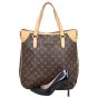 Louis Vuitton Odeon GM Monogram Shoe