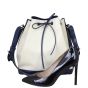 Louis Vuitton Petit Noe Epi Shoe
