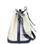 Louis Vuitton Petit Noe Epi Side