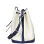 Louis Vuitton Petit Noe Epi Side