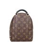 Louis Vuitton Palm Springs Mini Backpack Monogram Back