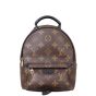 Louis Vuitton Palm Springs Mini Backpack Monogram Front