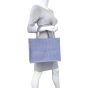 Dior Book Tote Medium Mannequin