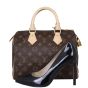 Louis Vuitton Speedy 25 Monogram Shoe