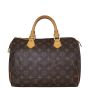 Louis Vuitton Speedy 30 Monogram Back