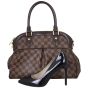 Louis Vuitton Trevi PM Damier Ebene Shoe