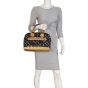 Louis Vuitton Alma PM Multicolore Mannequin