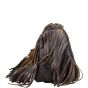 Chanel Paris-Dallas Fringe Flap Bag Side