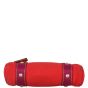 Louis Vuitton Antigua Cabas PM Base