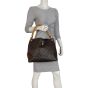Louis Vuitton Gaia Ostrich Python Monogram Mannequin