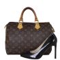 Louis Vuitton Speedy 30 Monogram Shoe