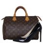 Louis Vuitton Speedy 30 Monogram Shoe