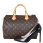 Louis Vuitton Speedy 25 Monogram Shoe