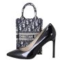 Dior Book Tote Mini Front with Shoe