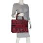 Dior Book Tote Medium Leopard Mannequin