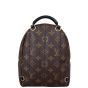 Louis Vuitton Palm Springs Mini Backpack Monogram Back