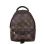 Louis Vuitton Palm Springs Mini Backpack Monogram Front