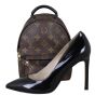 Louis Vuitton Palm Springs Mini Backpack Monogram Shoe