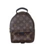 Louis Vuitton Palm Springs Mini Backpack Monogram Front