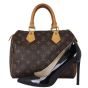 Louis Vuitton Speedy 25 Monogram Shoe