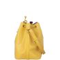 Louis Vuitton Noe Epi
