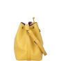 Louis Vuitton Noe Epi