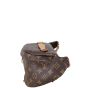 Louis Vuitton Bum Bag Monogram