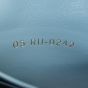 Dior Mini Caro Bag