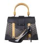 Goyard Saigon Structured MM Bag