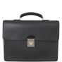 Louis Vuitton Taiga Robusto 2 Briefcase
