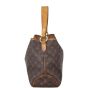Louis Vuitton Delightful PM Monogram