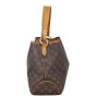Louis Vuitton Delightful PM Monogram