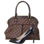 Louis Vuitton Trevi PM Damier Ebene