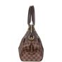 Louis Vuitton Trevi PM Damier Ebene
