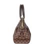Louis Vuitton Trevi PM Damier Ebene