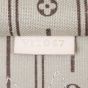 Louis Vuitton Neverfull PM Monogram