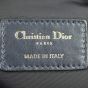 Dior Cosmetic Pouch Oblique