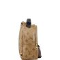 Louis Vuitton Palm Springs Mini Backpack Monogram Reverse