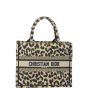 Dior Book Tote Small