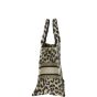 Dior Book Tote Small
