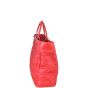 Dior Lady Dior Extra Large