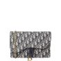Dior Saddle Pouch Wallet on Chain Oblique