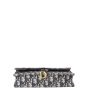 Dior Saddle Pouch Wallet on Chain Oblique