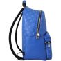 Louis Vuitton Discovery Backpack PM Taigarama